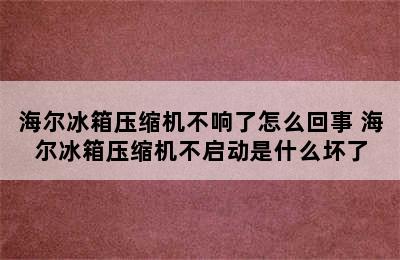 海尔冰箱压缩机不响了怎么回事 海尔冰箱压缩机不启动是什么坏了